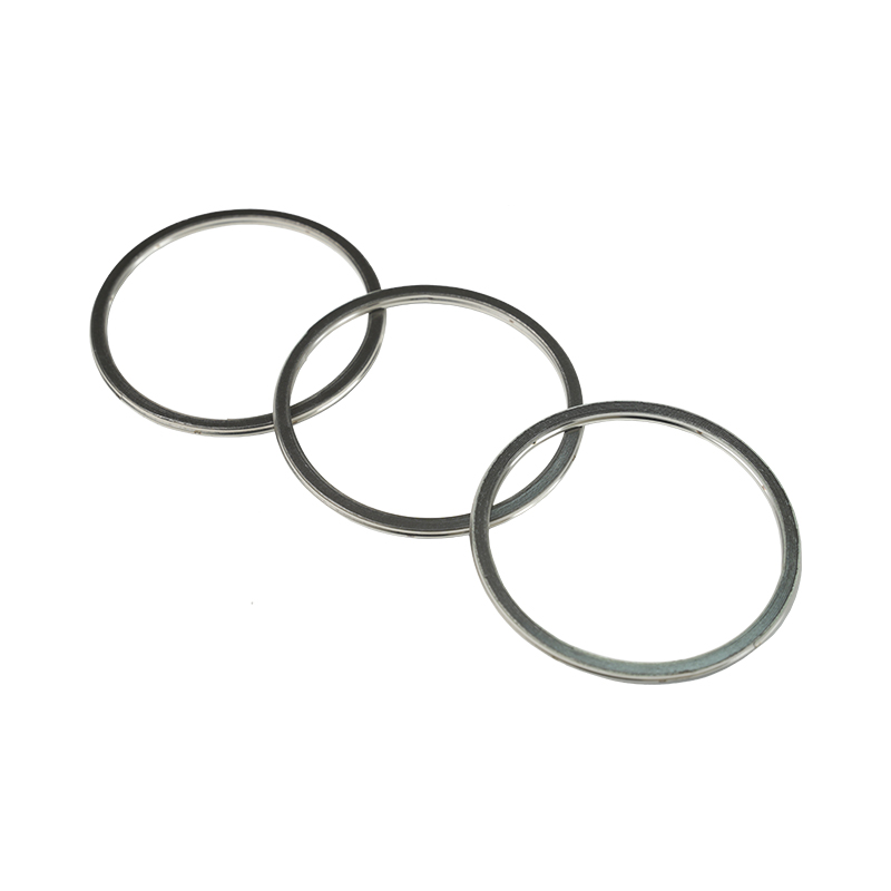 304 Steel Ring, Graphite Spiral Vulnus Gasket